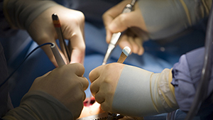 Bakırköy Veteriner Kliniği Bakırköy Veteriner Kliniği